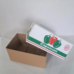 کارتن مقوایی (2)